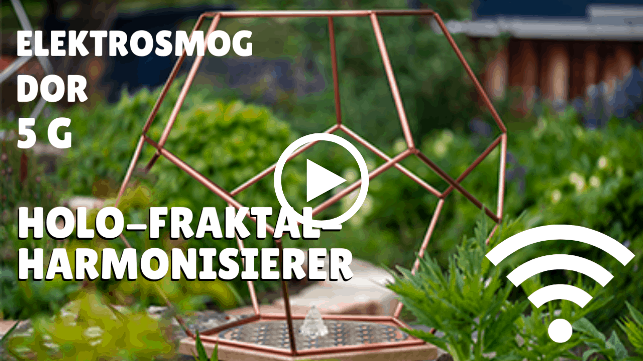 Electrosmog 5G detox device, holographic fractal harmonizer for electromagnetic pollution, integrale Umweltheilung, environmental health solution, Wi-Fi and cell phone radiation protection.